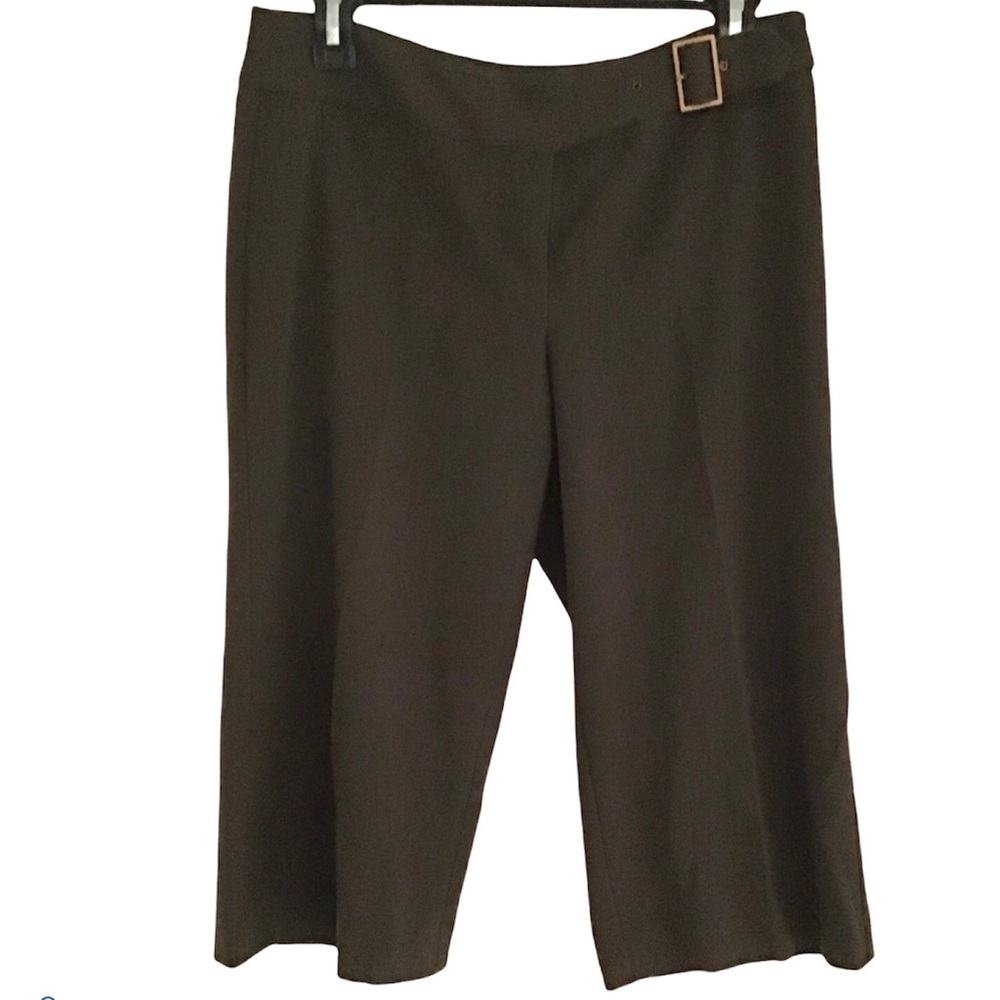 Ann Taylor LOFT Petite Marisa Brown Capri Pants